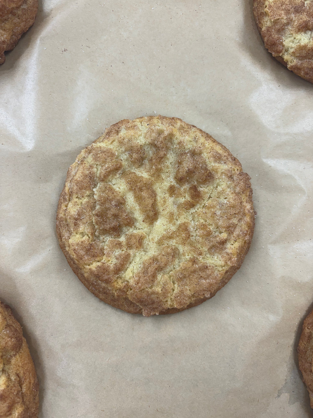 A single round cinnamon sugar cookie with a golden-brown sugar-coated surface, centered on a sheet of light brown parchment paper with other cookies partially visible at the edges.